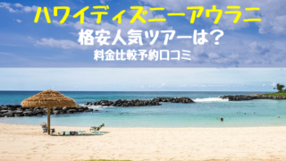 ハワイディズニーアウラニ限定グッズ19 お土産だけ買える おちゃこのブログ