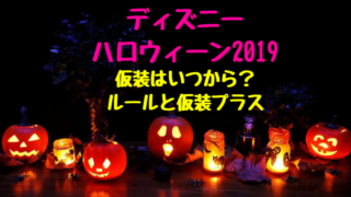 ディズニーカウントダウン年越し19 チケット申し込み応募方法 倍率は おちゃこのブログ